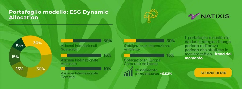 portafoglio modello Natixis